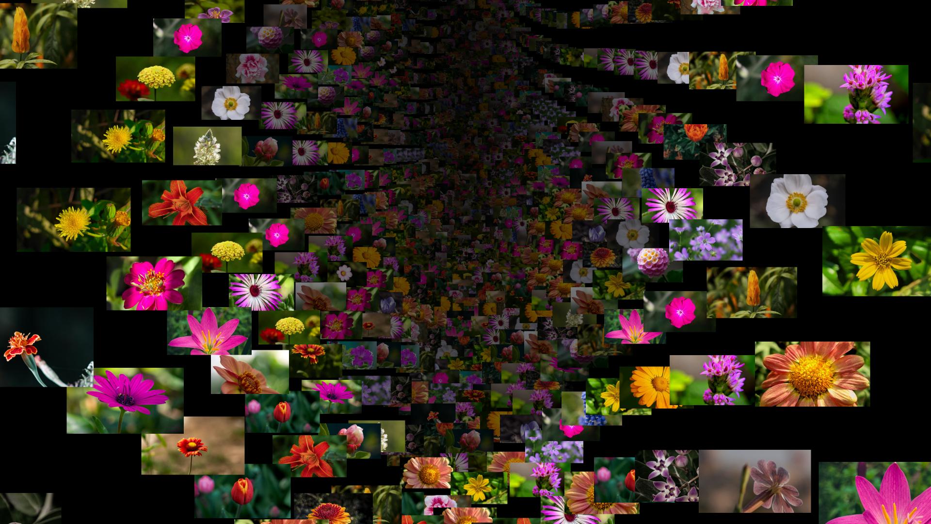 An image