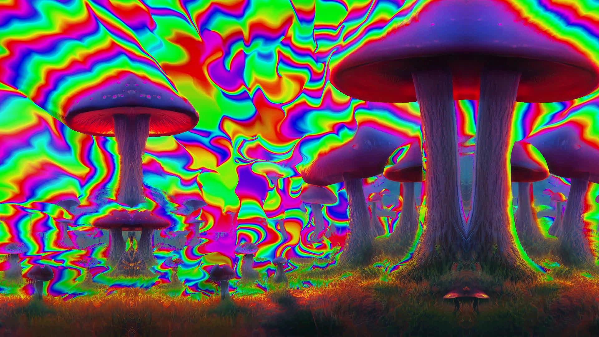 An image