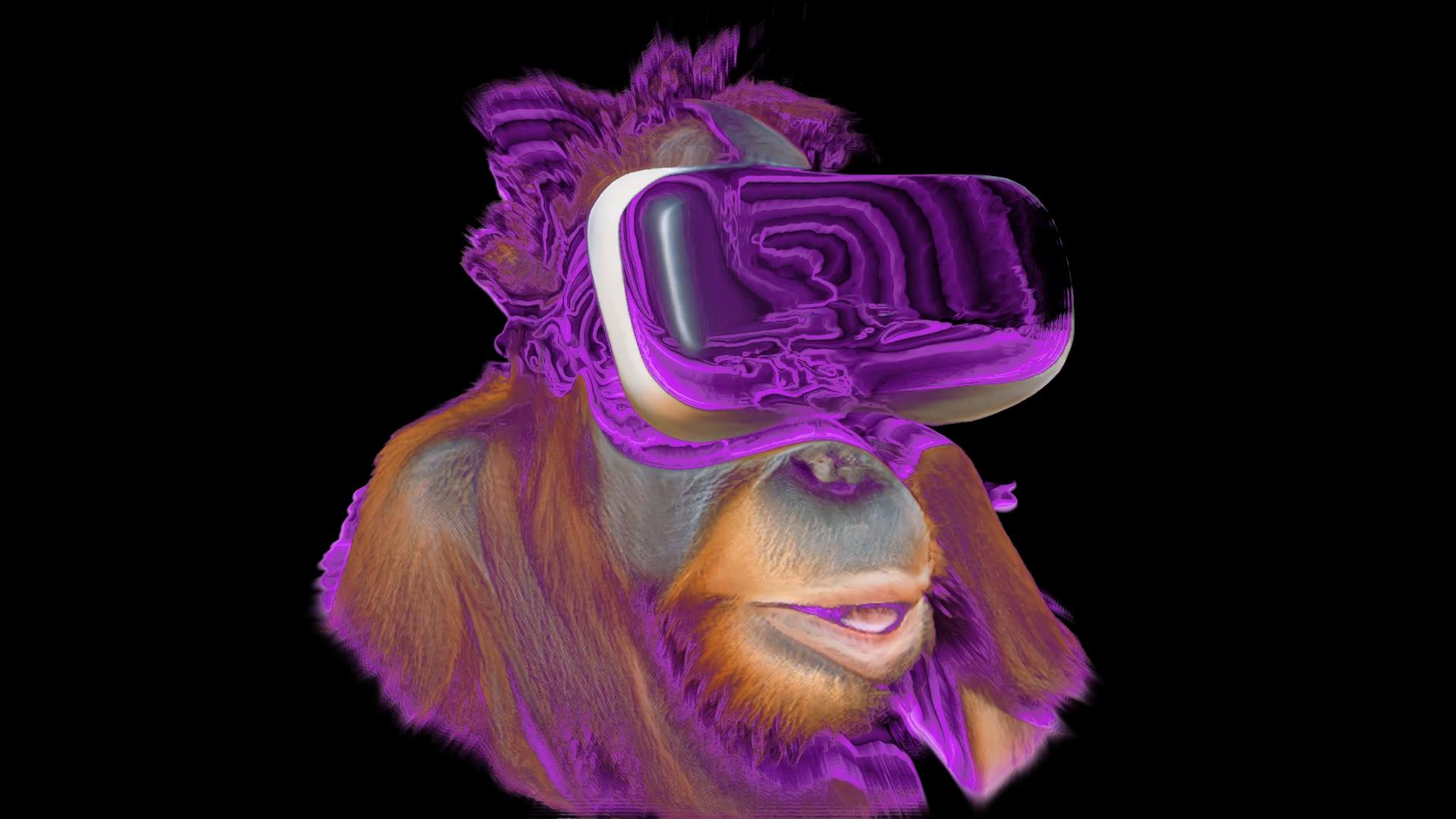 An image